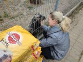 Finał szkolnej zbiórki karmy dla zwierząt z łomżyńskiego schroniska