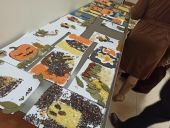 Warsztaty i konkurs „Malowanie jesienią – obrazy z ziaren pól, łąk, ogrodów”