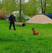 Wizyta uczniów klas policyjnych w Oddziałach Prewencji Policji