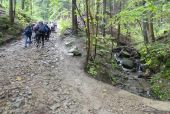 Beskidzkie klimaty i profilaktyka