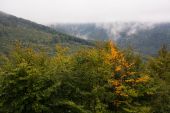 Beskidzkie klimaty i profilaktyka